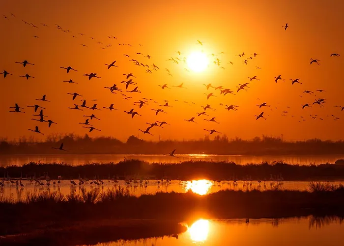 شقة Garden House - Host Solution ليدو دي يسولو