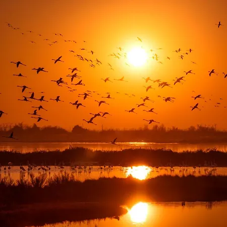 Daire Garden House - Host Solution Lido di Jesolo